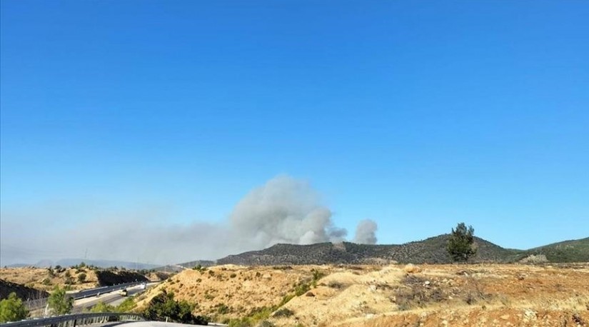 В турецком Мерсине продолжается тушение лесных пожаров