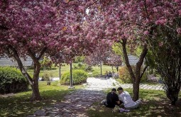 Ежегодно в июне в Турции будет проводится «Неделя окружающей среды»