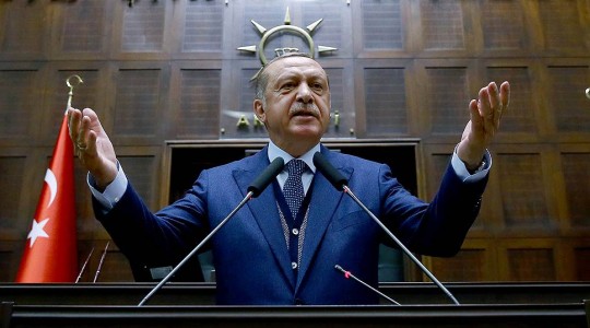 Турция вручила Германии ноту из-за перформанса с автомобилем